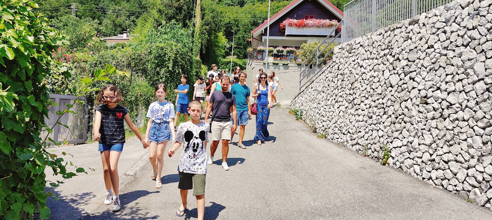 Il gruppo cammina per le vie di Anduins
